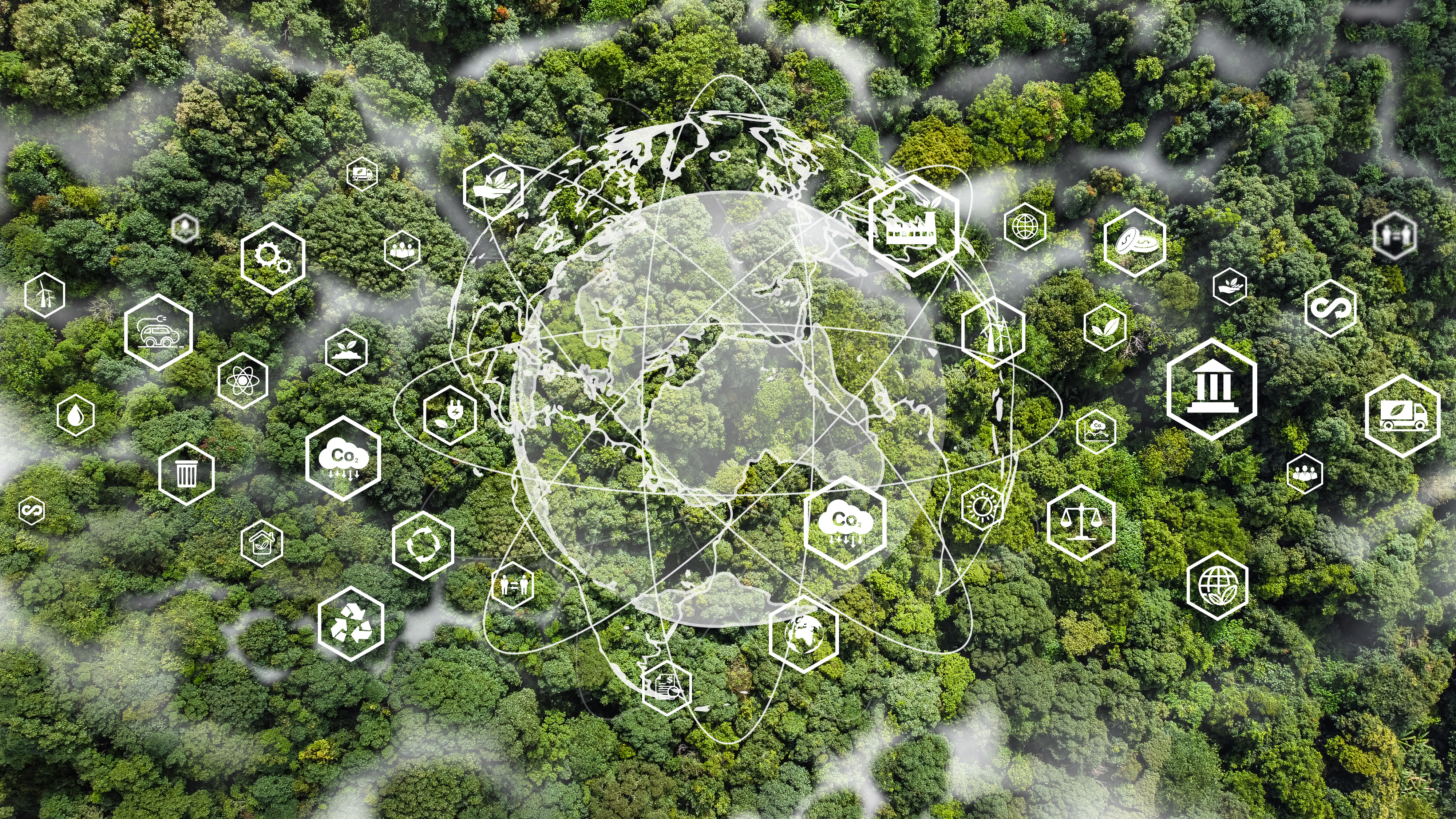 Ethical compliance, white world outline on top of green forest